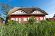 Reethaus im Schilf