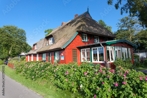 Foto: perfekt restauriertes norddeutsches Holzhaus mit Reetdach perfekt restauriertes norddeutsches Holzhaus mit Reetdach