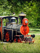 vitage steam locomotive in green nature