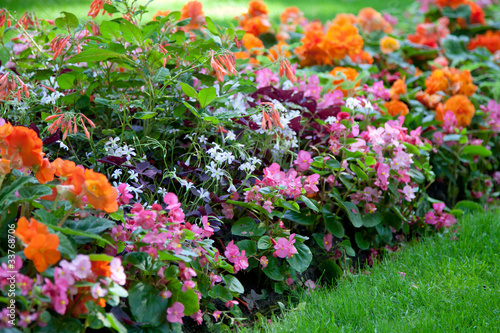 Photo: Herrliches Blumenbeet Herrliches Blumenbeet