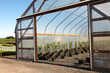 Greenhouse plant nursery, Oregon