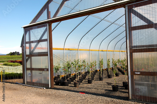 Photo: Greenhouse plant nursery, Oregon Greenhouse plant nursery, Oregon