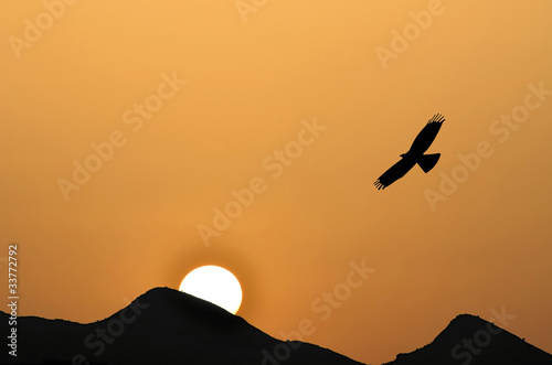 Photo: eagle silhouette in the sunset behind the mountains eagle silhouette in the sunset behind the mountains