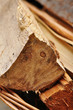 Feuerholz