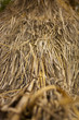 straw