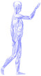 muscle-man side