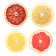 citrus slices