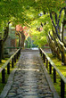 光悦寺参道
