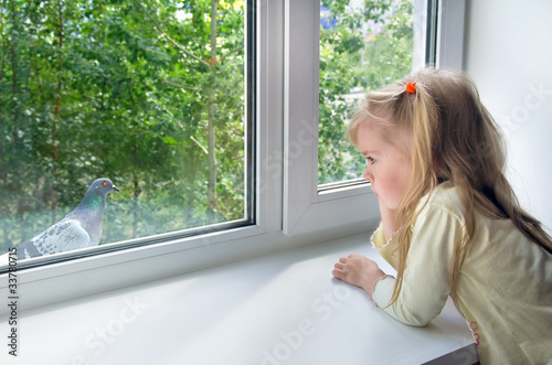 Photo: A sad little girl looks at a pigeon outside the window A sad little girl looks at a pigeon outside the window