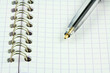 stylo sur carnet