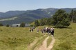 hautes vosges