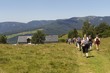 hautes vosges