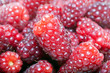 Closeup berries background Closeup berries background