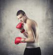 Boxer