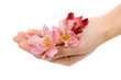 flowers in their hands