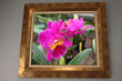 Expo Photos