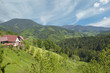 Schwarzwaldberge