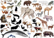 Set Of Wild Mammals Isolated O...