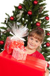 freudige weihnachten freudige weihnachten