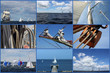 Segelcollage 2