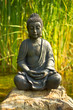 Photo en ligne au meilleur prix Buddha Meditation am Wasser