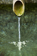 水