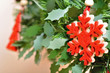 Weihnachtskranz