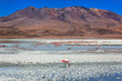 Laguna Celeste, Altiplano, Bolivia, South America