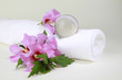 Hibiskusblüten mit weißem Handtuch und Glaskugel