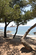 côte d'azur ensoleillée 1