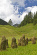 Heumanndln in Süddtirol