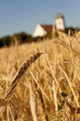 Barley and church Barley and church