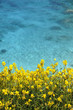 Paxos Island Paxos Island