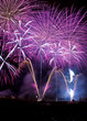Purple fireworks