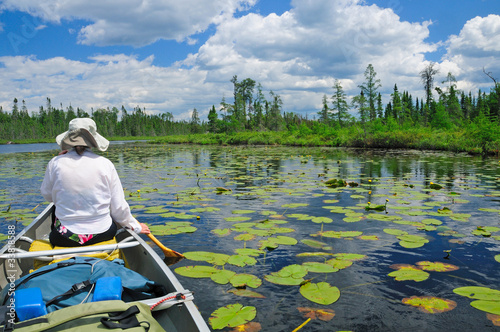 Photo: Paddling through the lily pads Paddling through the lily pads