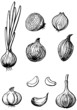 Onion and garlic Onion and garlic