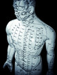 Acupuncture doll