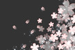 桜の背景