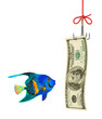 Fishing hook and money