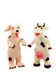Crazy toy cow and a toy dog