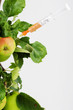 Foto: apfelzweig spritze apfelzweig spritze
