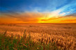 Sunset in the countryside in late summer - lots of copyspace Sunset in the countryside in late summer - lots of copyspace