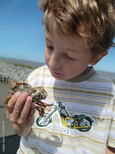 Foto: Kind mit Strandkrabbe Kind mit Strandkrabbe