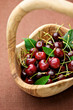 cherry