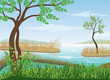 landscape