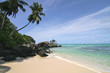 Plage et cocotier, paradis