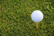 Golf Tee