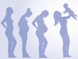 pregnancy