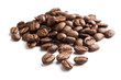 Coffee Bean