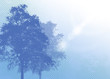 blue trees